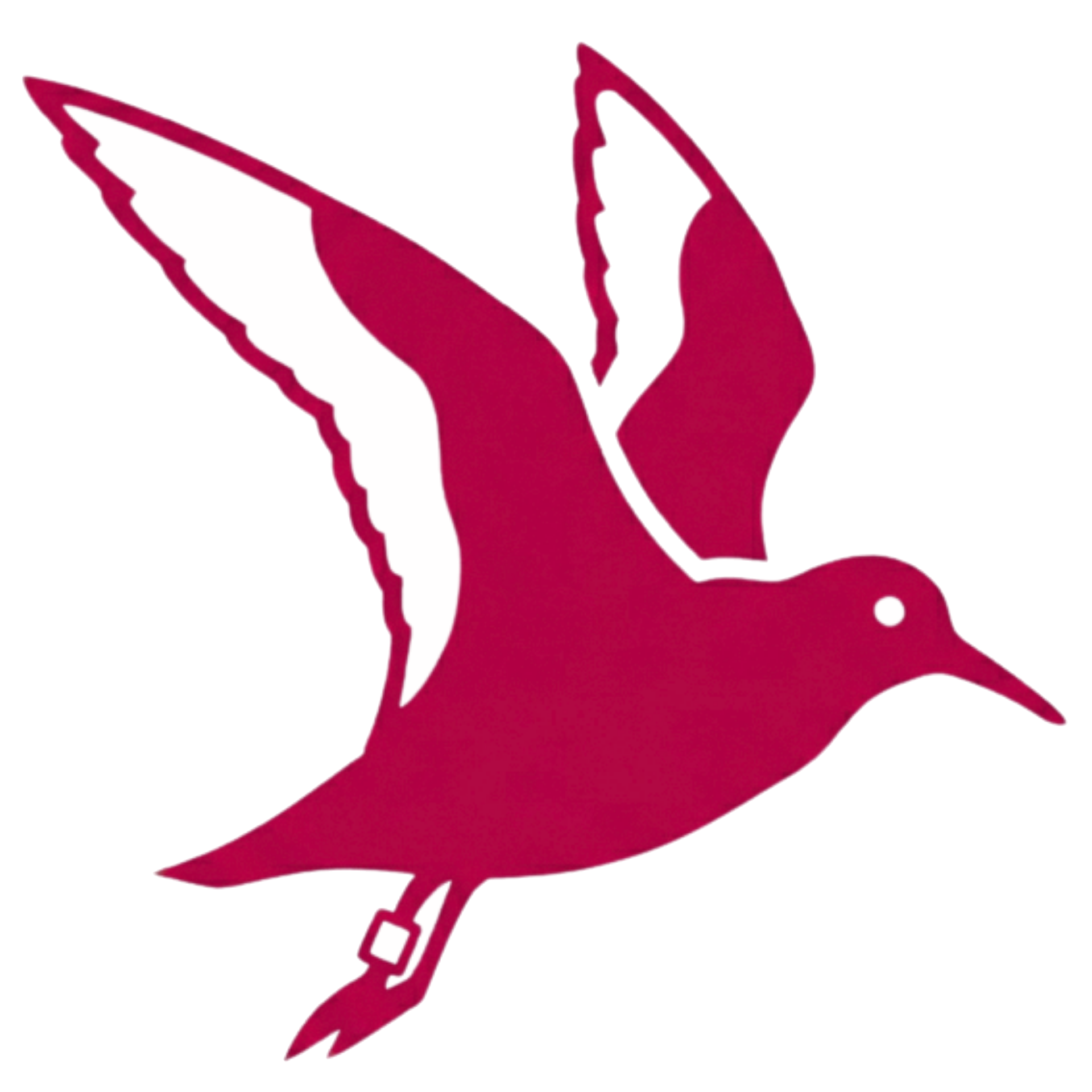 ¡Hacé clic en el ave! Logo ITS 15